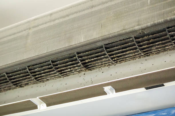 Best HVAC System Cleaning  in Brooklyn, NY